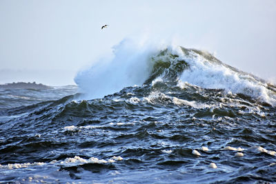 Waves crashing and splashing in sea