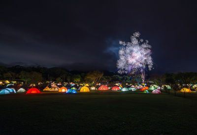 Firework display at night