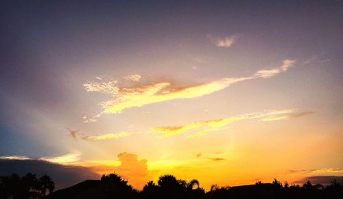 Silhouette of trees at sunset