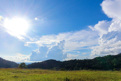 Scenic view of field against sky