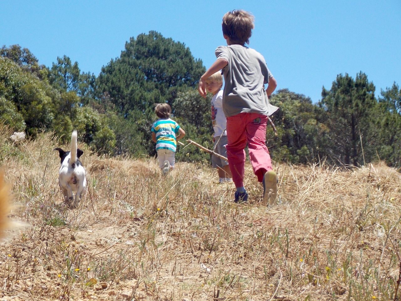 full length, animal themes, casual clothing, childhood, domestic animals, mammal, togetherness, lifestyles, leisure activity, rear view, boys, field, elementary age, walking, girls, standing, pets, dog