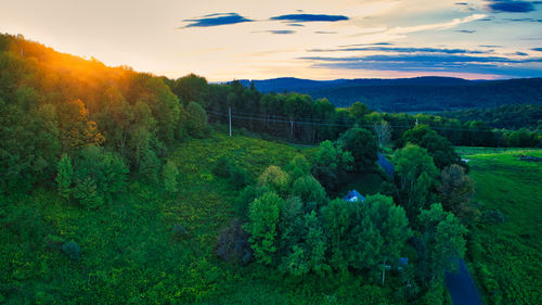 Trees on field against sky during sunset