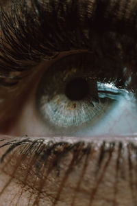 Close-up of human eye