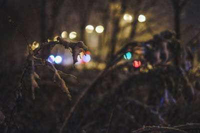 Close-up of illuminated lights at night