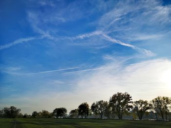 Trees on field against sky