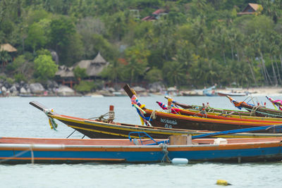 Boats moored in sea against trees