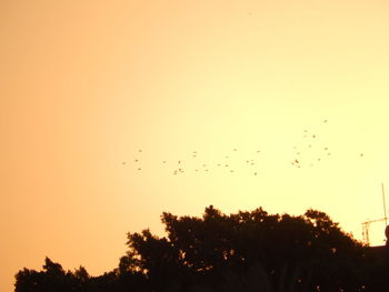 Low angle view of birds flying in sky