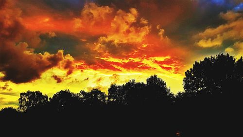 Silhouette trees against dramatic sky during sunset