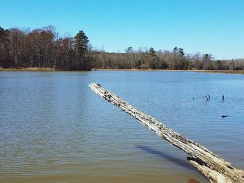 Scenic view of lake against clear blue sky