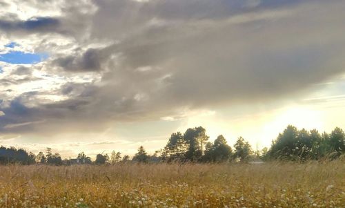 Scenic view of field against cloudy sky