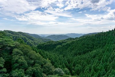 Scenic view of green landscape against sky