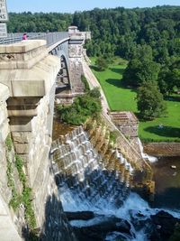 Water flowing through plants