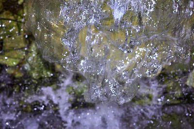 Close-up of water drops on rocks