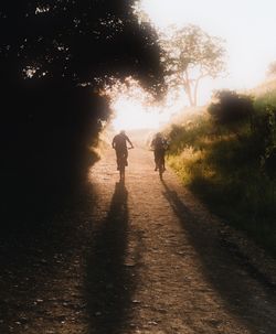 Rear view of silhouette man walking on road against trees