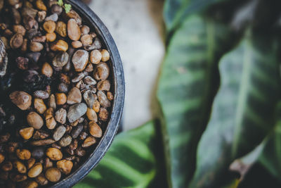 High angle view of coffee beans