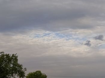 Low angle view of trees against cloudy sky