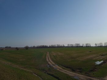 Scenic view of field against clear sky