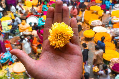 Close-up of hand holding flower against market