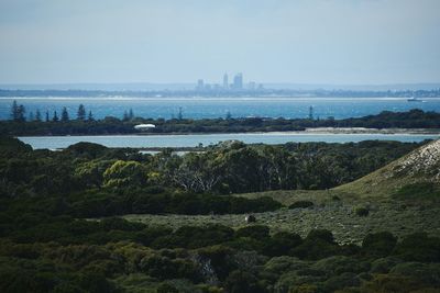 Scenic view of landscape against clear sky