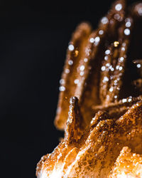 Close-up of wet glass against black background