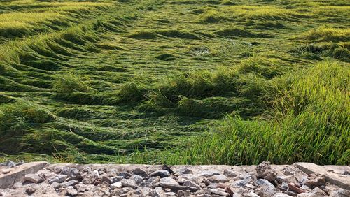 Scenic view of land