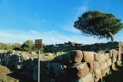 Panoramic view of trees against sky