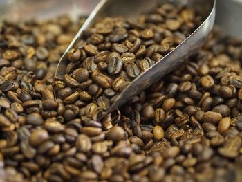 Close-up of coffee beans