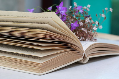 Close-up of book with flowers on table