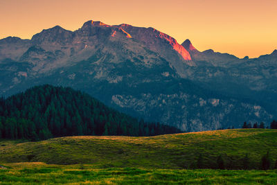 Scenic view of field against clear sky