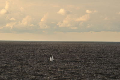 Sailboat sailing in sea against sky