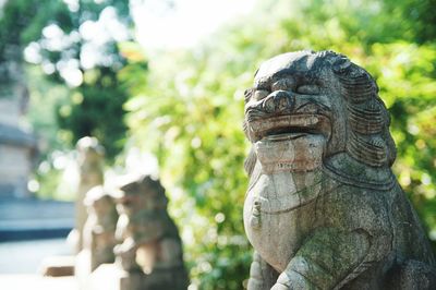 Close-up of statue against trees