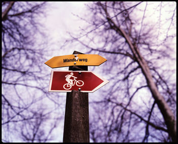 Low angle view of road sign against bare tree