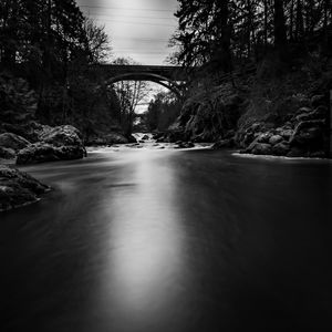 Bridge over river amidst trees against sky