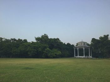 Trees on grassy field against clear sky