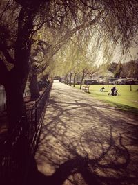 Road passing through forest
