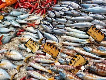 High angle view of artificial fish for sale at street market