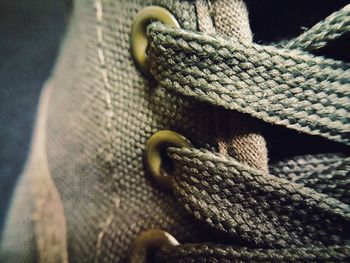 Close up of plant against blurred background