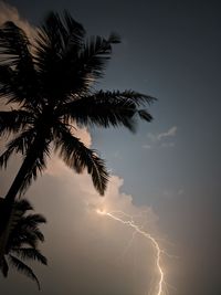 Low angle view of silhouette palm tree against sky at sunset