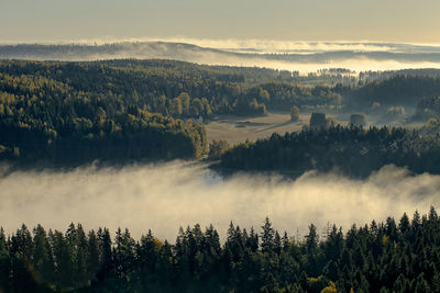 Panoramic view of trees on landscape against sky