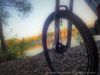 Close-up of bicycle wheel