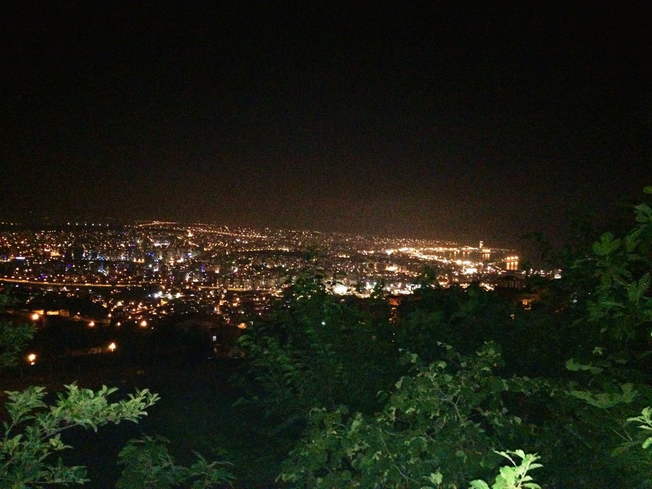 night, cityscape, illuminated, building exterior, city, built structure, architecture, high angle view, crowded, tree, residential district, residential building, copy space, sky, residential structure, outdoors, clear sky, no people, aerial view, growth