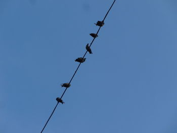 Low angle view of helicopter against clear sky