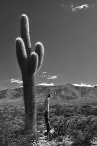 Man standing by saguaro cactus at desert against sky