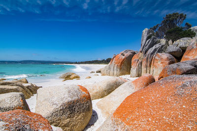 Scenic view of rocky beach against blue sky