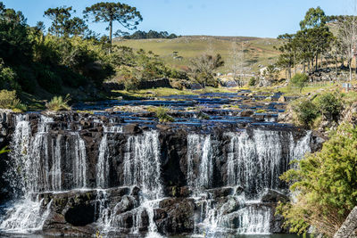 Scenic view of waterfall in forest