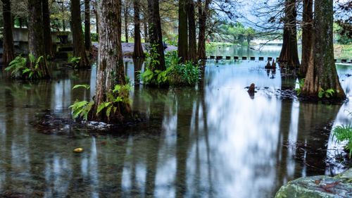 View of a lake