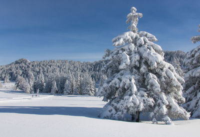 Alpine snowy landscape in winter at chamrousse