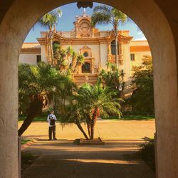 Rear view of man walking on palm trees by building