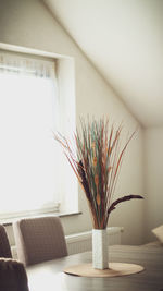 Close-up of potted plant on table at home