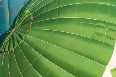 Low angle view of green leaves on plant